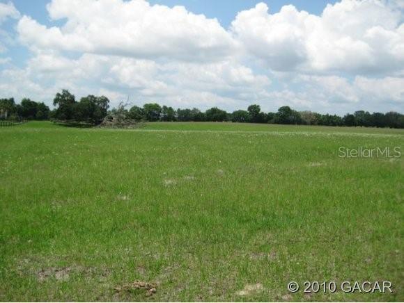 LOT 7 NE Lot 7 167 Ct., Williston, FL 32696