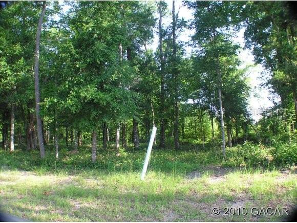 6607 NW 196 St., Alachua, FL 32615