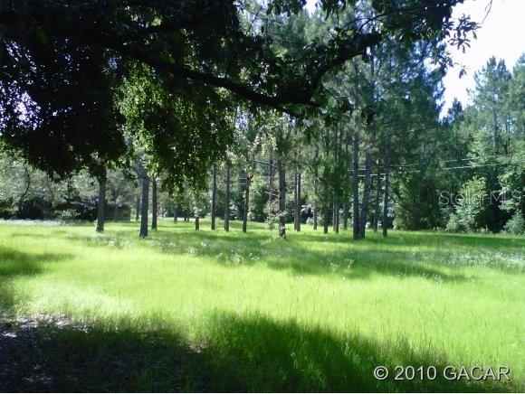 2607 SW 298 St., Newberry, FL 32669