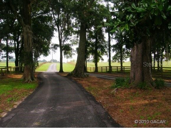 NW 166th Ter., Alachua, FL 32615