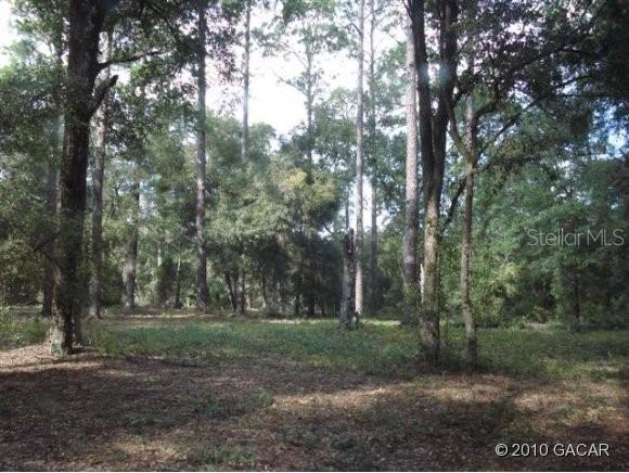 SE 247th St., Hawthorne, FL 32640