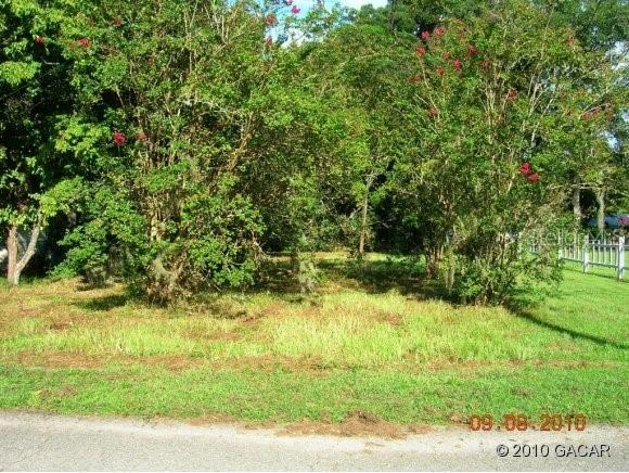 NW 145th Ter., Alachua, FL 32615