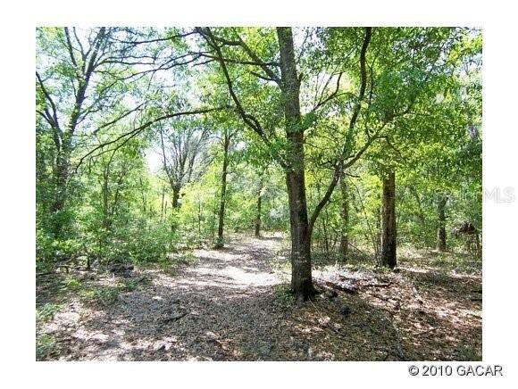 00 Cr 219, Melrose, FL 32666