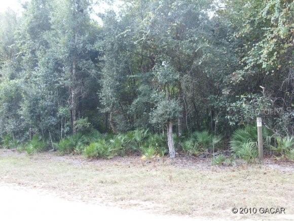 00 Mandarin Ave., Melrose, FL 32666