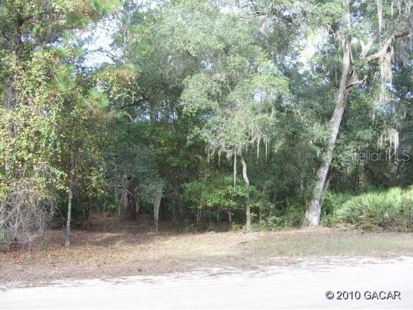 Lot 7 Mandarin Ave., Melrose, FL 32666