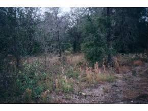 SW 266th Stre, Newberry, FL 32669