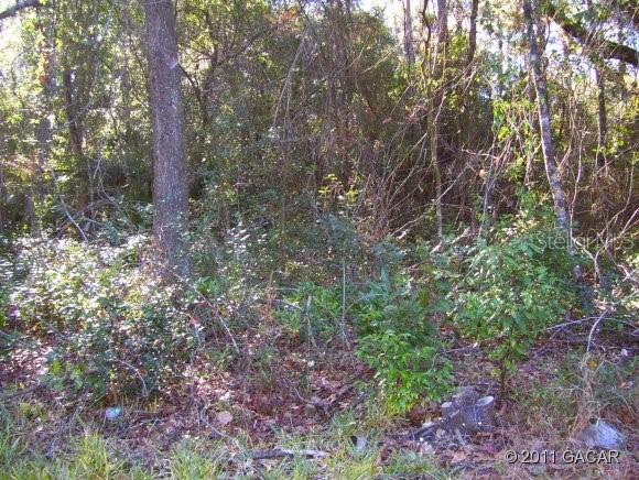 1850 SE 5th St., Gainesville, FL 32603