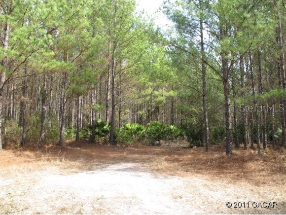00 SW 105th St., Graham, FL 32042