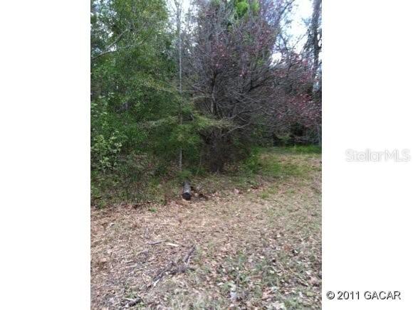 24015 NW 52 Ter., Gainesville, FL 32609