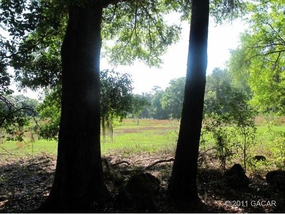 00 NE 75th St., Williston, FL 32696