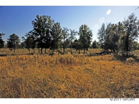 231 SW Beauregard Glen, Lake City, FL 32024