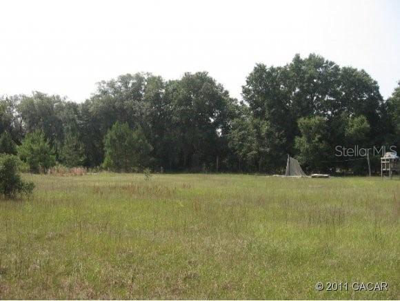 SW 136 Ct., Worthington Springs, FL 32054