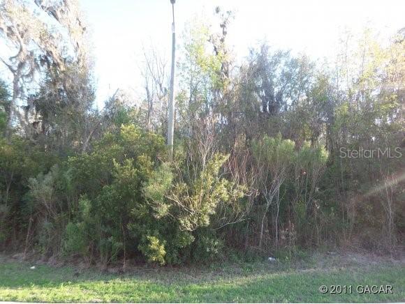 11325 NW 31st Ln., Gainesville, FL 32606