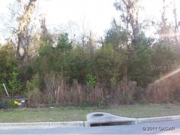 11305 NW 31st Ln., Gainesville, FL 32606