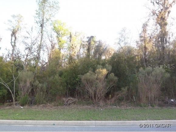 11269 NW 31st Ln., Gainesville, FL 32606