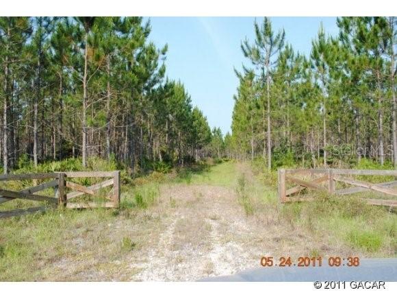 TBD NW County Rd 336 Rd., Chiefland, FL 32626