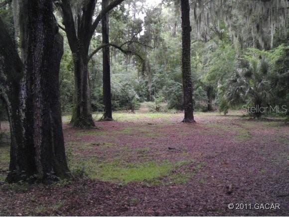 1875 SW 35th Pl., Gainesville, FL 32608