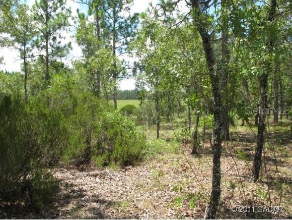 00 NE 120th Ave., Williston, FL 32696