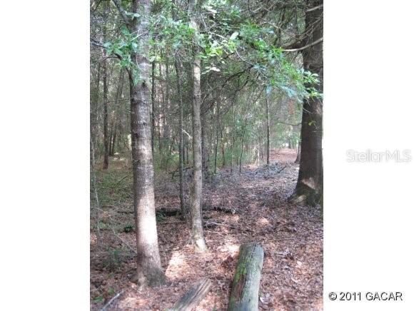 NE 35th St., Williston, FL 32696