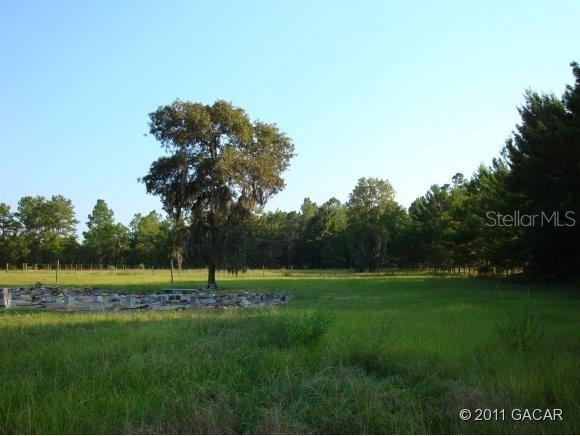 14270 SE 6 Ln., Williston, FL 32696