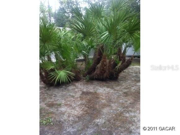 103 Highlands Ct., Melrose, FL 32666