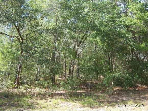 121 Swans Nest Cir., Melrose, FL 32666