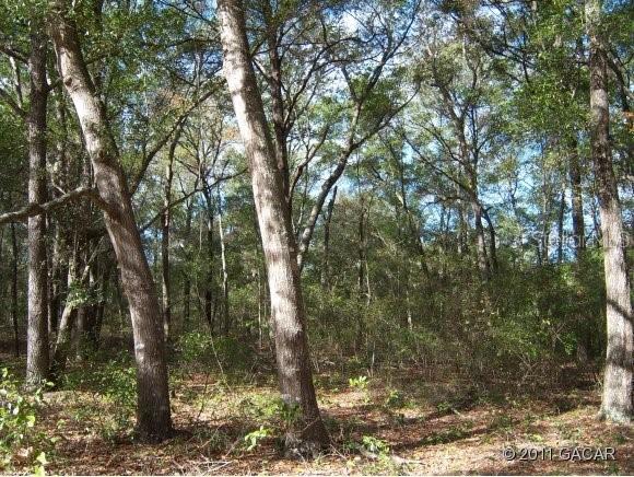 000 Swans Nest Cir., Melrose, FL 32666