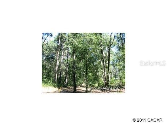 Lot 82 SW Madera St., Gainesville, FL 32608