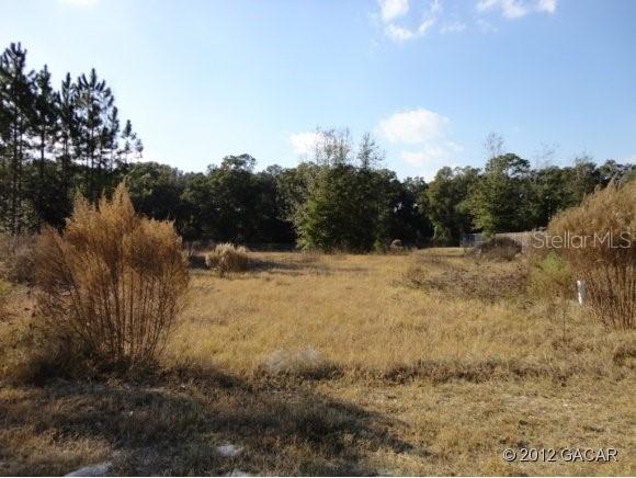 00 NW 256th Ter., Newberry, FL 32669