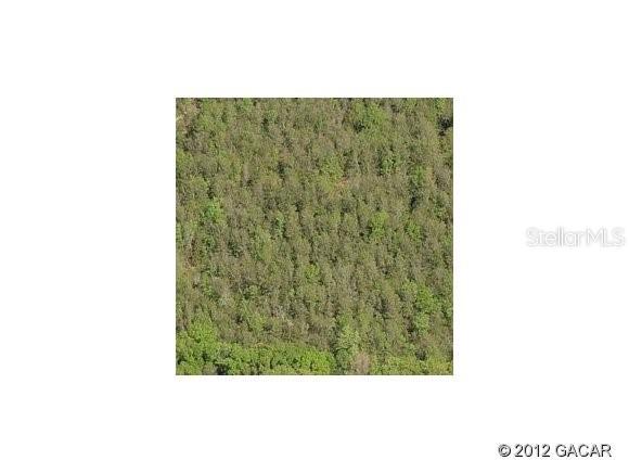 14715 NW 50th Pl., Alachua, FL 32615