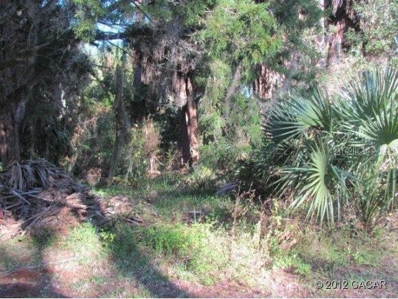 Lot 1 SE 240th Ter., Suwannee, FL 32692