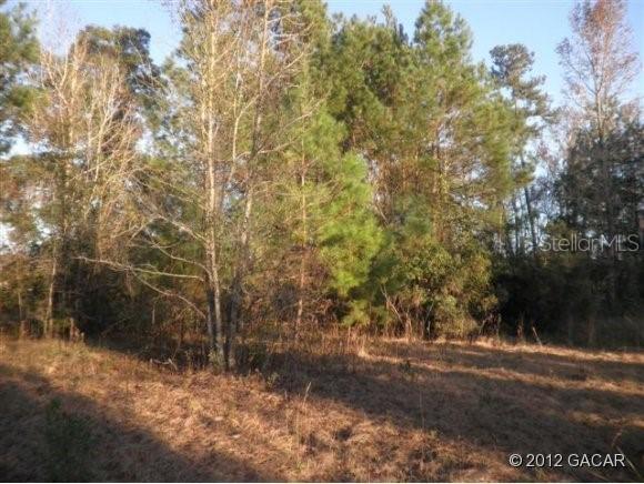 18731 NW 262nd Ave., Alachua, FL 32615