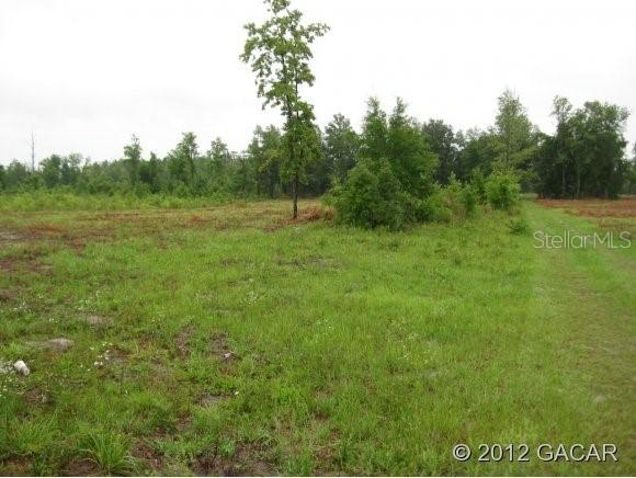 Lot 5 NE 150th Ave., Williston, FL 32696