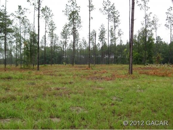 Lot 2 NE Lot 2 150th Ave., Williston, FL 32696