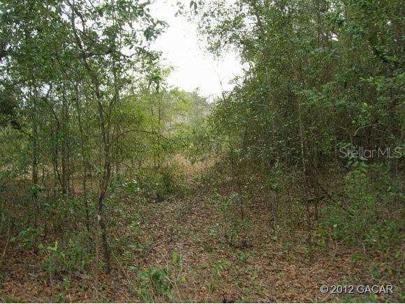 12929 SW 143rd St., Gainesville, FL 32618