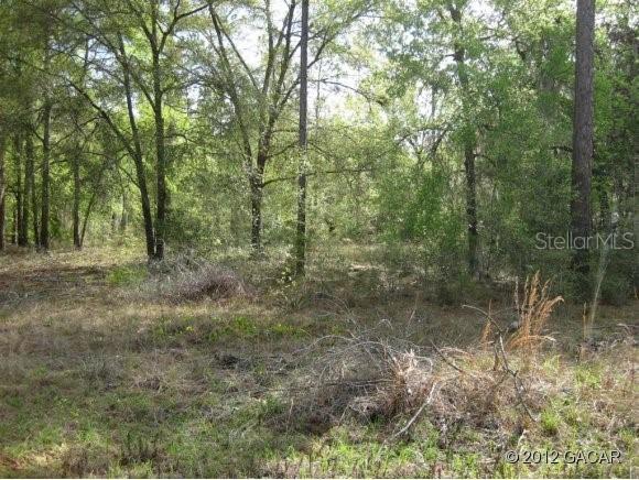 10005 SW 84th Ter., Gainesville, FL 32608