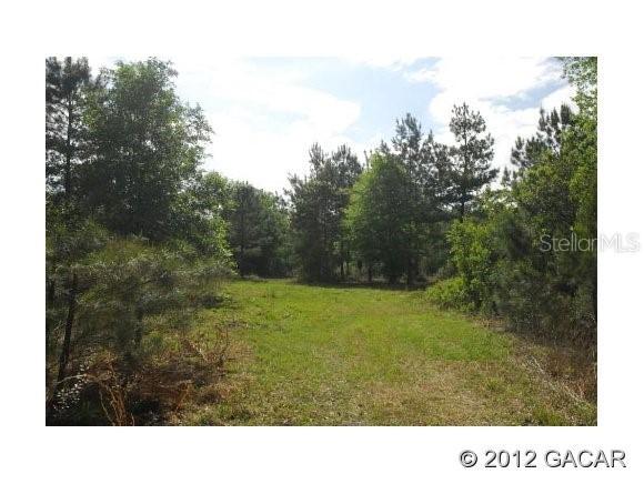 6800 225 Rd., Gainesville, FL 32609