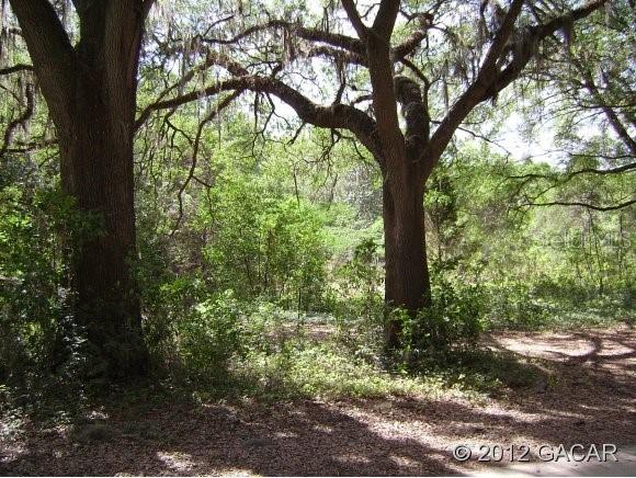 3006 NW 162 St., Newberry, FL 32669