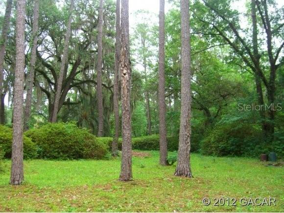 2128 NW 28th St., Gainesville, FL 32605