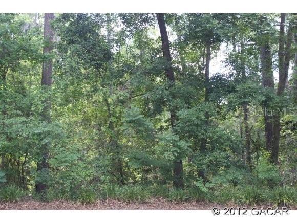 1333 NW 58th Ter., Gainesville, FL 32605