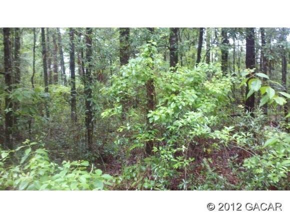 NW 188 St., Alachua, FL 32615