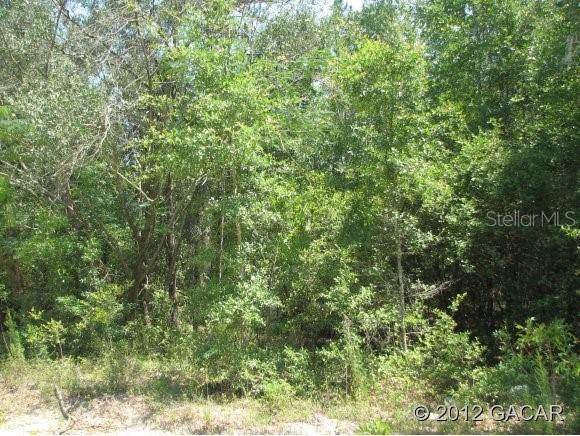 28702 SW 97th Ln., Newberry, FL 32669