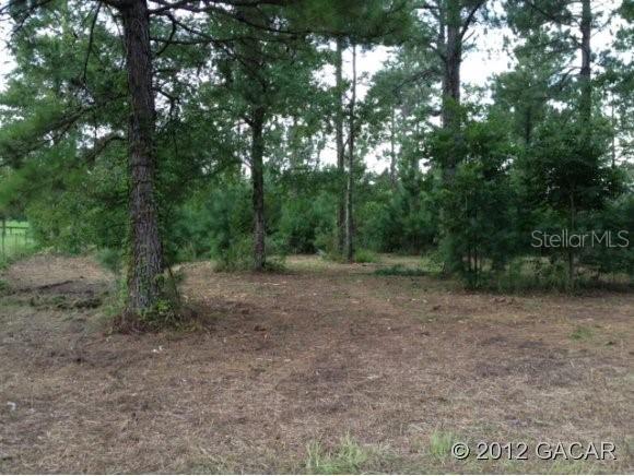 17709 NW 278 Ave., Alachua, FL 32615