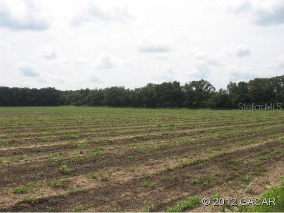 00 NW 138th Ave., Alachua, FL 32615