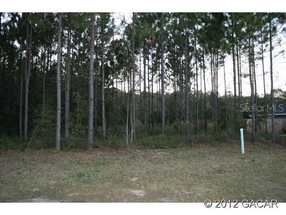 912 NW 256th Ter., Newberry, FL 32669