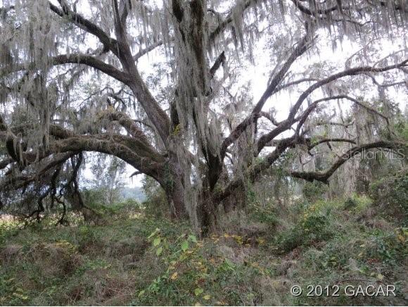 [Address Hidden by Seller], Gainesville, FL 32606
