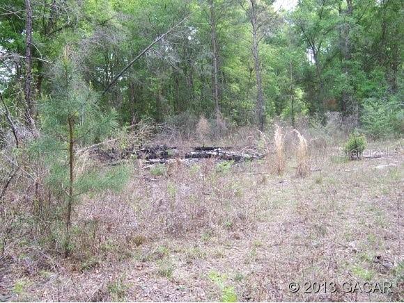 6323 SW 57th Rd., Gainesville, FL 32608