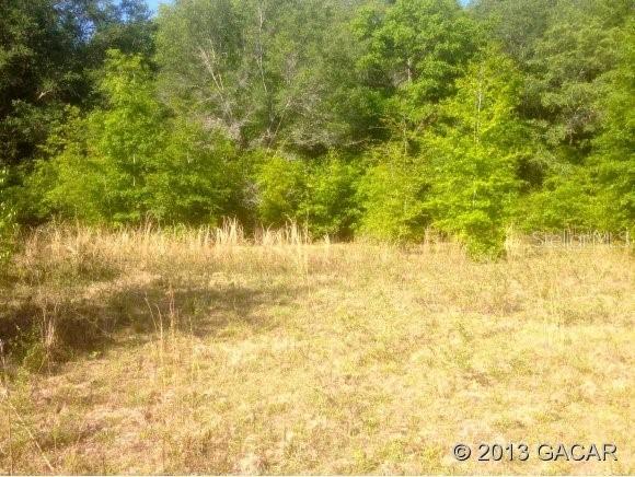 2126 SW 222nd Ter., Newberry, FL 32669