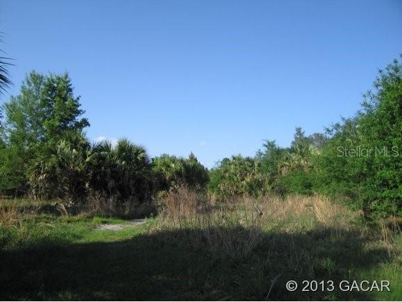 NW 202 Pl., Mcintosh, FL 32664