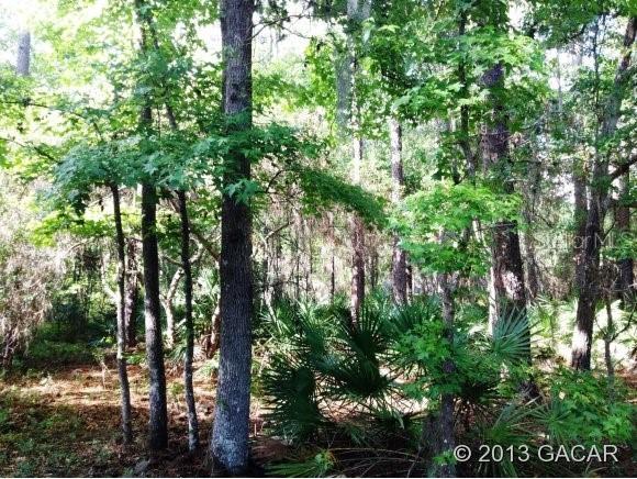 9418 NW 63rd Pl., Gainesville, FL 32653